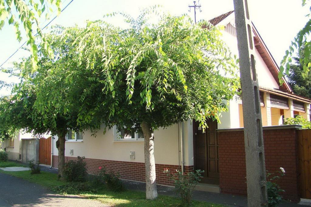 Hajnal Apartman Villa Gyula Phòng bức ảnh